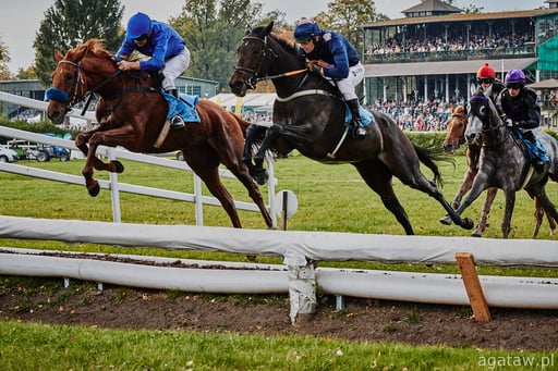 Powiększ obraz: Konie wyścigowe skaczą przez przeszkodę na Partynicach, zdjęcie z 2024 roku