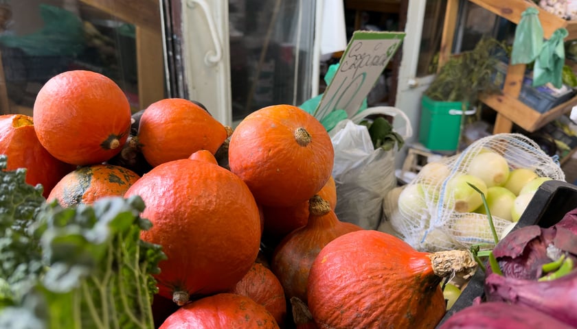 Powiększ obraz: <p>Hokkaido, piżmowa, lungo, olbrzymia... to tylko 4 z 18 gatunków dyni!</p>