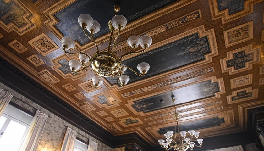 Powiększ obraz: Hotel Platinum Place w zabytkowej willi Powstańców Śląskich 204