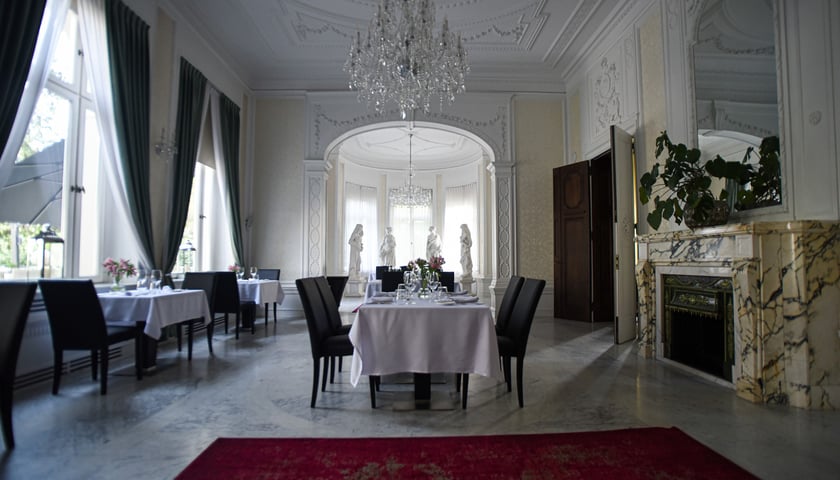 Powiększ obraz: Hotel Platinum Place w zabytkowej willi Powstańców Śląskich 204