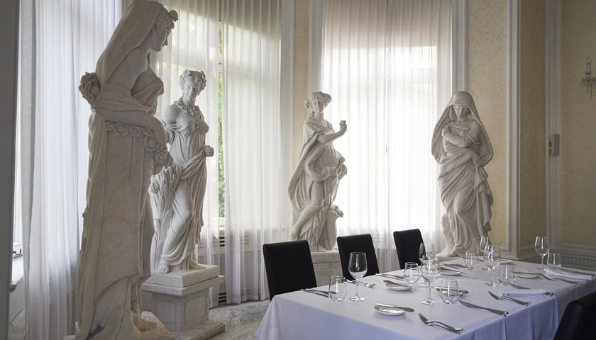 Powiększ obraz: Hotel Platinum Place w zabytkowej willi Powstańców Śląskich 204