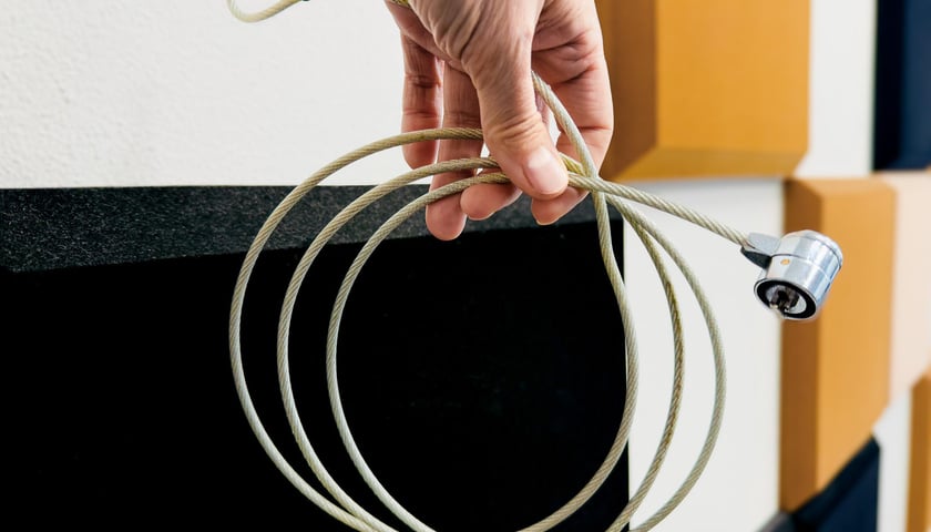 Powiększ obraz: <p>Jeśli już bardzo boimuy się o nasze tuje, możemy zabezpieczyć je stalową linką. Musi ona jednak zostać gdzieś umocowana</p>