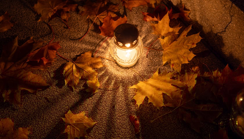 Powiększ obraz: <p>Dzień Wszystkich Świętych jest dobrą okazją do wspólnych wspominków</p>