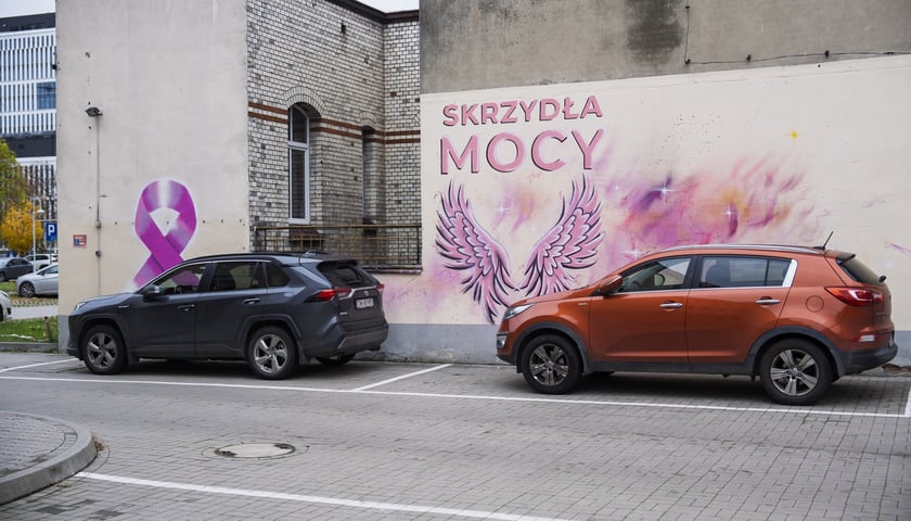 Różowe skrzydła z napisem SKRZYDŁA MOCY namalowane na ścianie szpitala na Hirszfelda