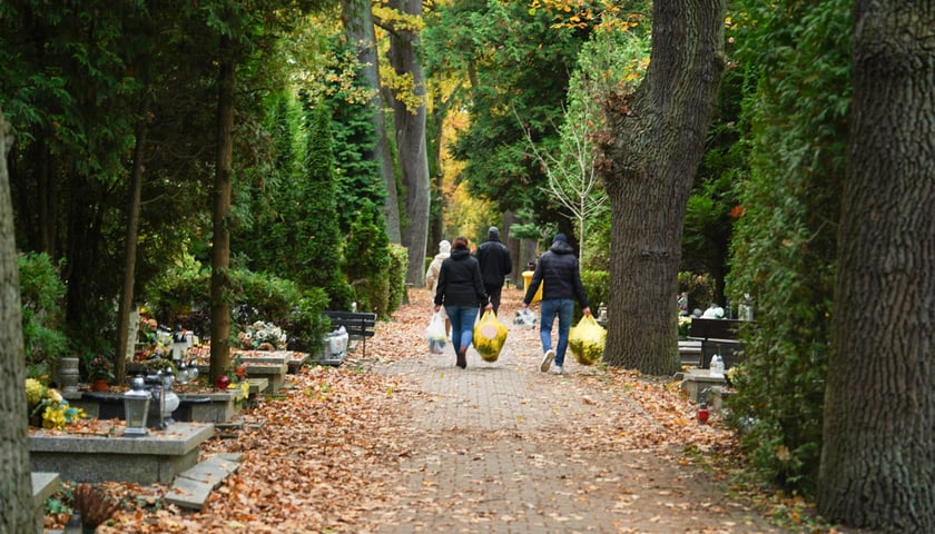 Przygotowania do Wszystkich Świętych na cmentarzu Grabiszyńskim - 26.10.2025
