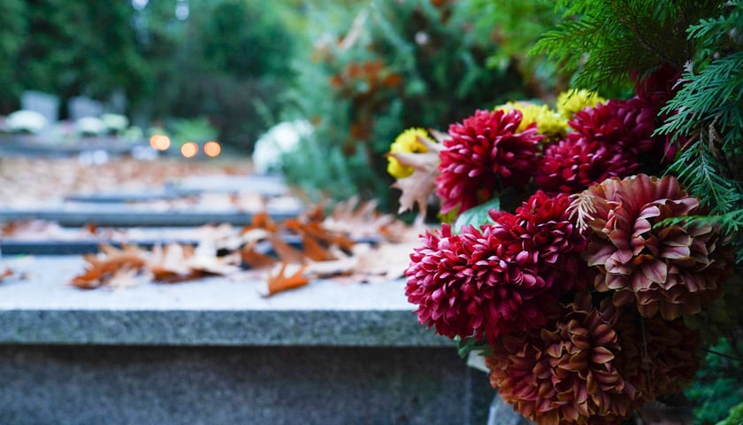 Przygotowania do Wszystkich Świętych na cmentarzu Grabiszyńskim - 26.10.2025