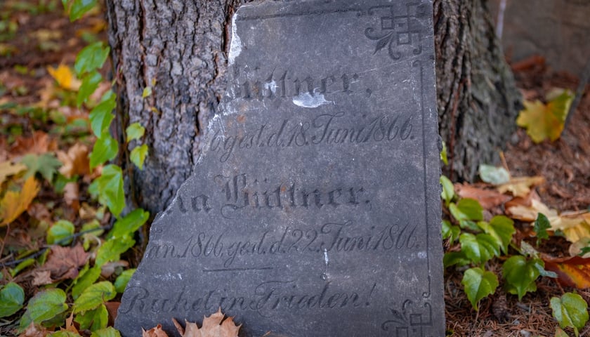 W Ogrodzie Botaniczym odznaleziono na pozostałości dawnego cmentarza