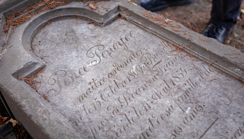 Powiększ obraz: W Ogrodzie Botaniczym odznaleziono na pozostałości dawnego cmentarza