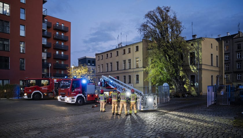Powiększ obraz: Drzewo powalone przez wichurę przy ulicy Tęczowej 31. Akcja Straży Pożarnej. Wrocław, 30.10.2025