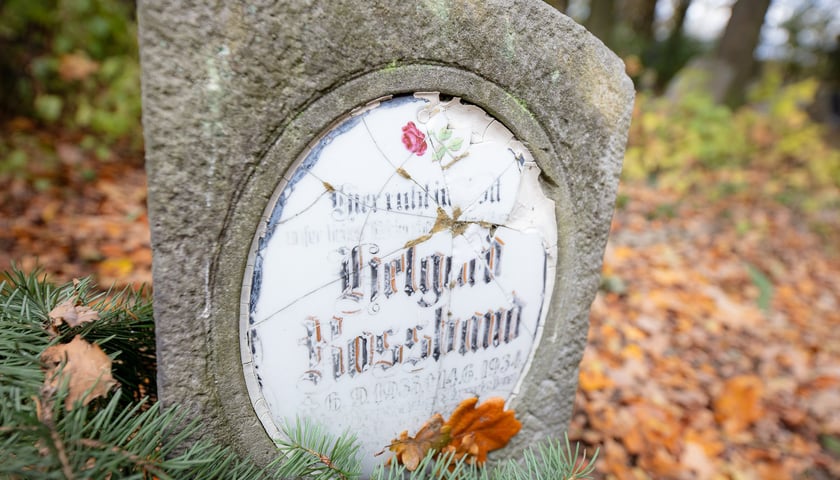 Cmentarz ewangelicki w Grabownicy - w środku pola, w niewielkim zagajniku