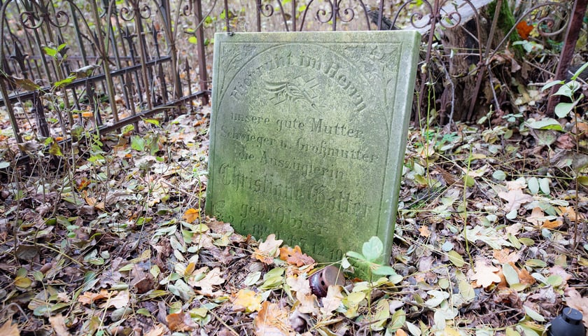 Powiększ obraz: <p>Cmentarz ewangelicki w Grabownicy - w środku pola, w niewielkim zagajniku</p>