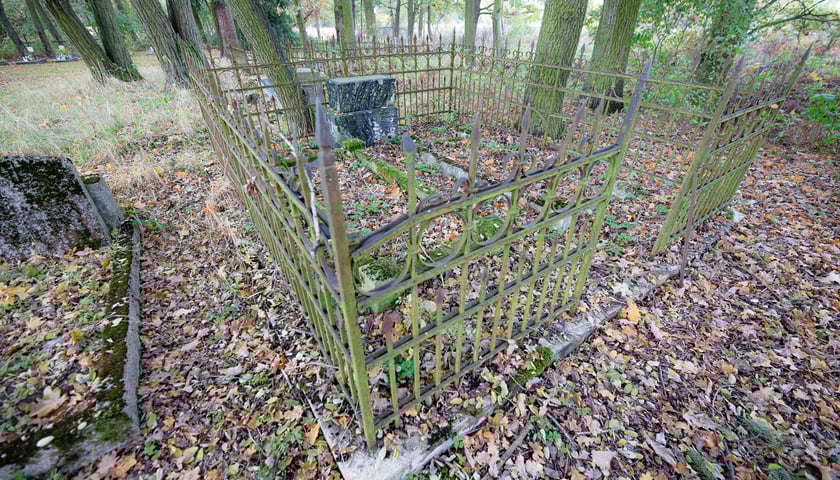 Cmentarz ewangelicki w Grabownicy - w środku pola, w niewielkim zagajniku