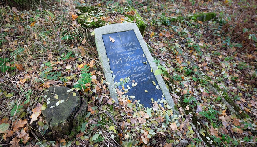 Cmentarz ewangelicki w Grabownicy - w środku pola, w niewielkim zagajniku