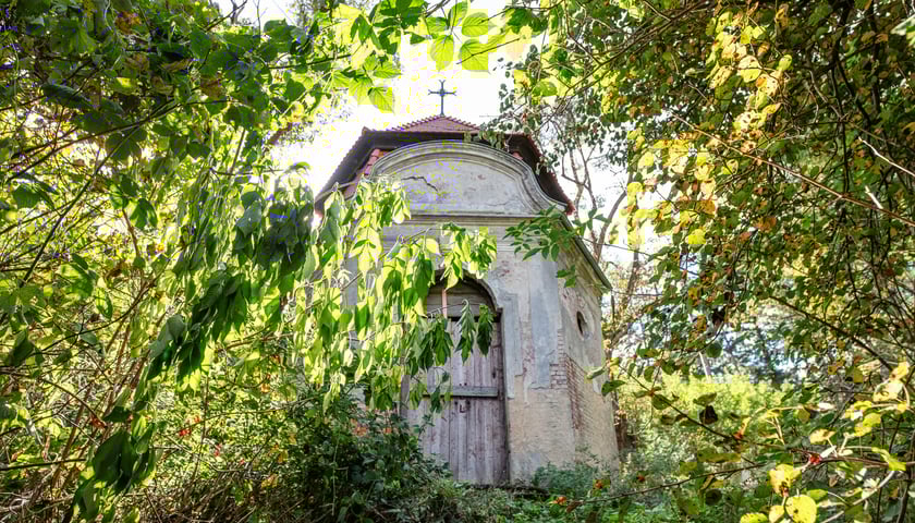 Mauzoleum Hochberg&oacute;w w Wąbnicach - budynek w środku lasu