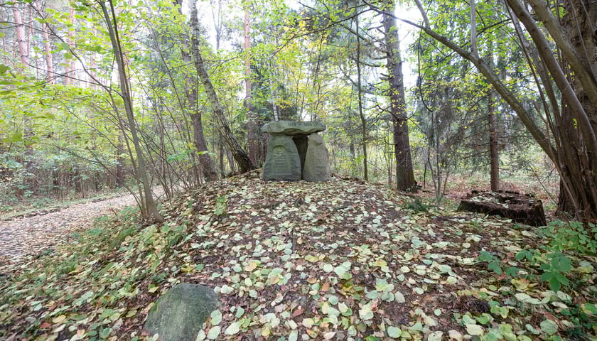 Gr&oacute;b myśliwego na czerwonym szlaku rowerowym w Krośnicach