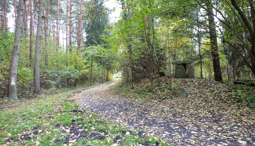 Gr&oacute;b myśliwego na czerwonym szlaku rowerowym w Krośnicach