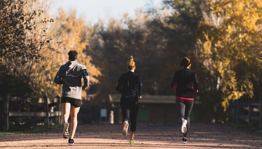Powiększ obraz: Bieg w parku, zdjęcie ilustracyjne