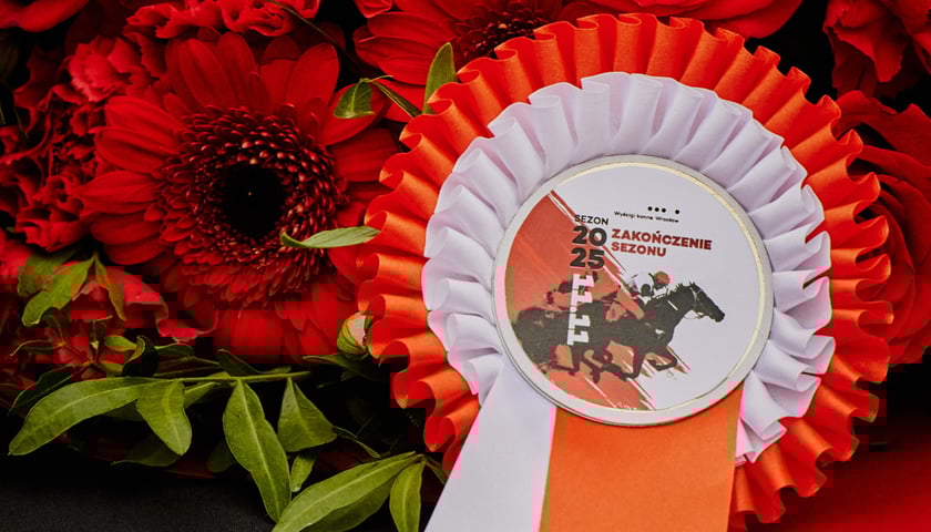 Ostatni dzień wyścigowy 11 listopada na wrocławskich Partynicach