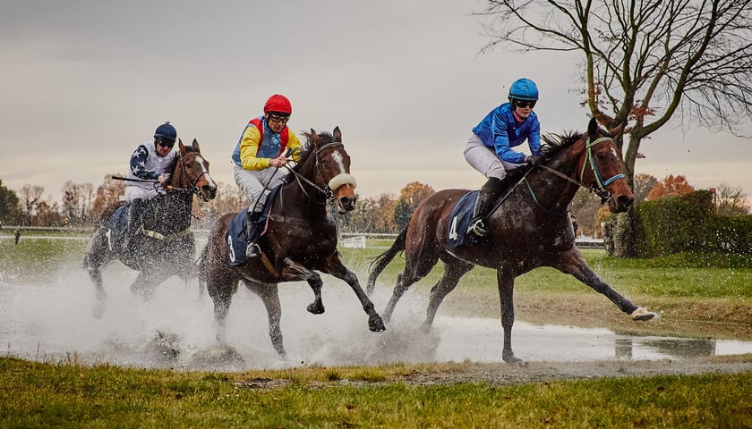 Ostatni dzień wyścigowy 11 listopada na wrocławskich Partynicach