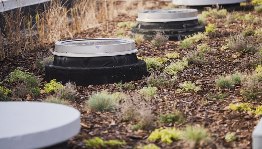 Prezentacja nowości Hyreopolis i MPWiK Wrocław, 13 listopada 2025