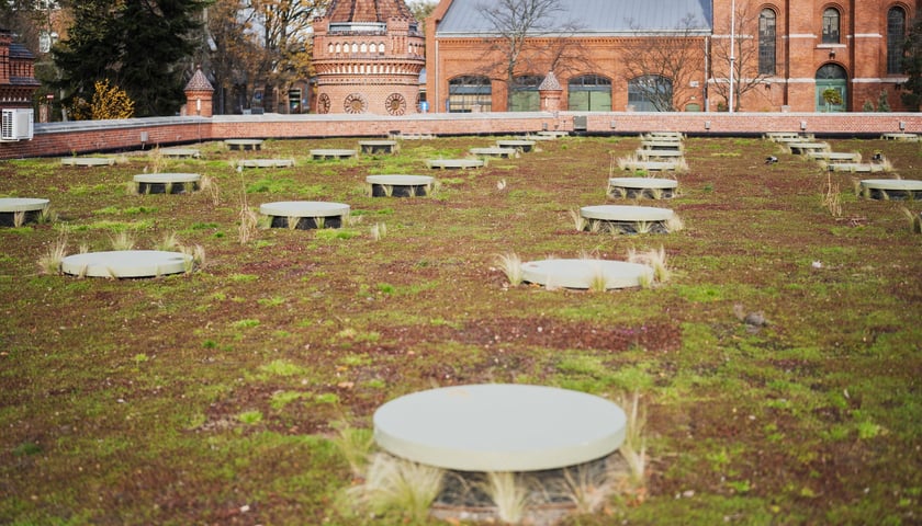 Prezentacja nowości Hyreopolis i MPWiK Wrocław, 13 listopada 2025