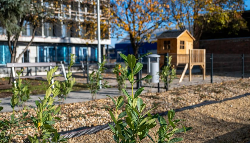 podw&oacute;rko przy Wilczej