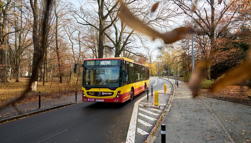 Powiększ obraz: Ulica Walig&oacute;rskiego po remoncie. Wrocław, 16.11.2025.