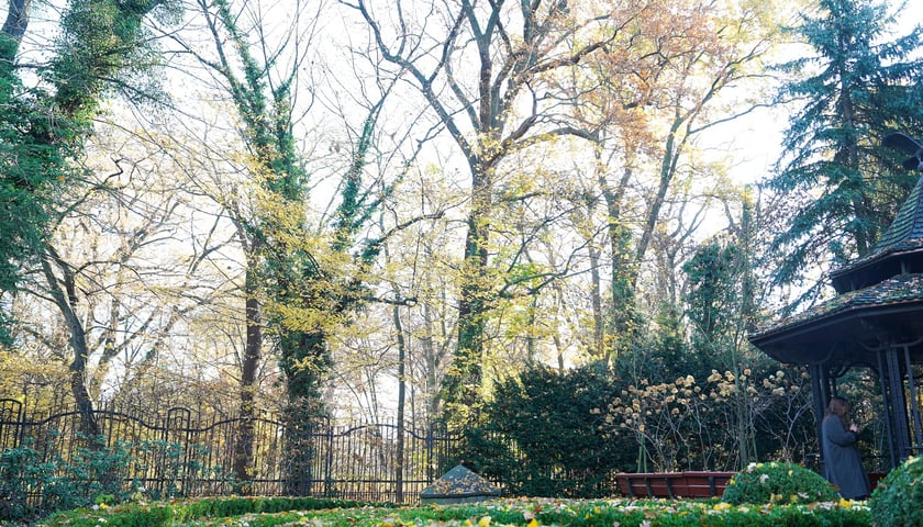 Powiększ obraz: Wpisana do rejestru zabytków willa pod adresem Powstańców Śląskich 202, listopad 2025