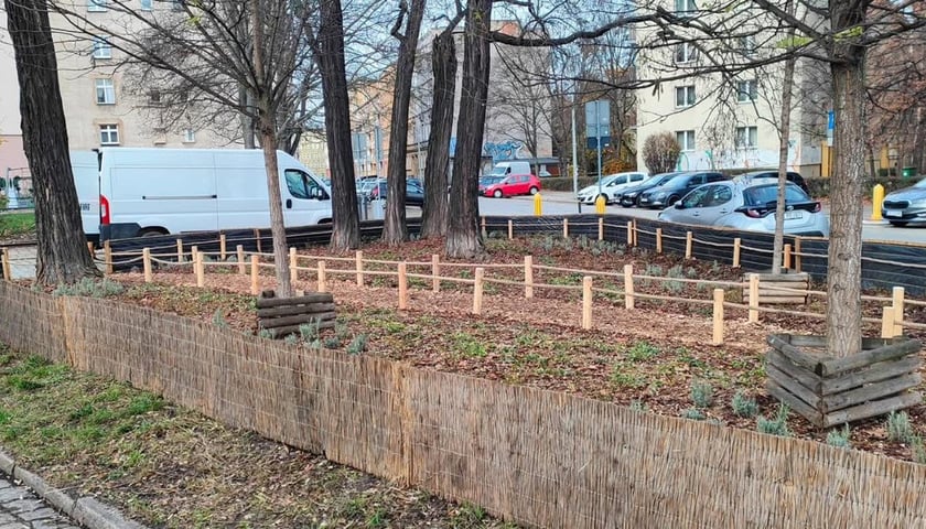 Powiększ obraz: skwer przy ulic Pszennej i Jęczmiennej