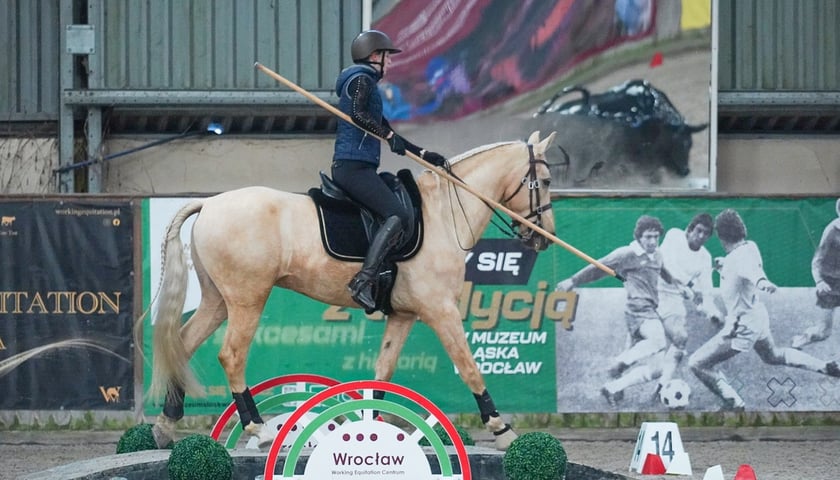 Na Partynicach rozgrywano Mistrzostwa Polski w Working Equitation.