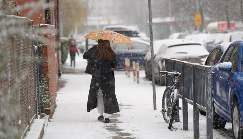 Pierwszy śnieg we Wrocławiu, 24.11.2025