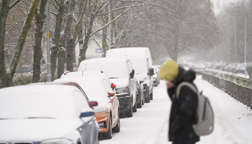 Pierwszy śnieg we Wrocławiu, 24.11.2025