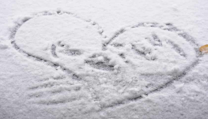 Pierwszy śnieg we Wrocławiu, 24.11.2025