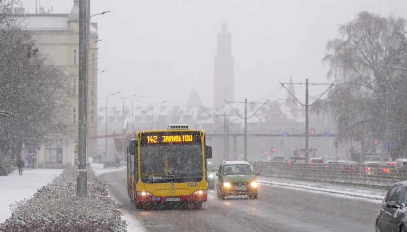 Pierwszy śnieg we Wrocławiu, 24.11.2025