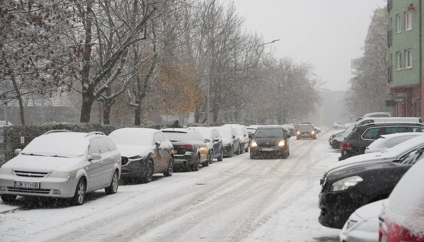 Pierwszy śnieg we Wrocławiu, 24.11.2025