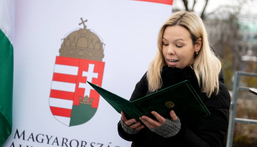 Powiększ obraz: <p>No&eacute;mi Nagy</p>