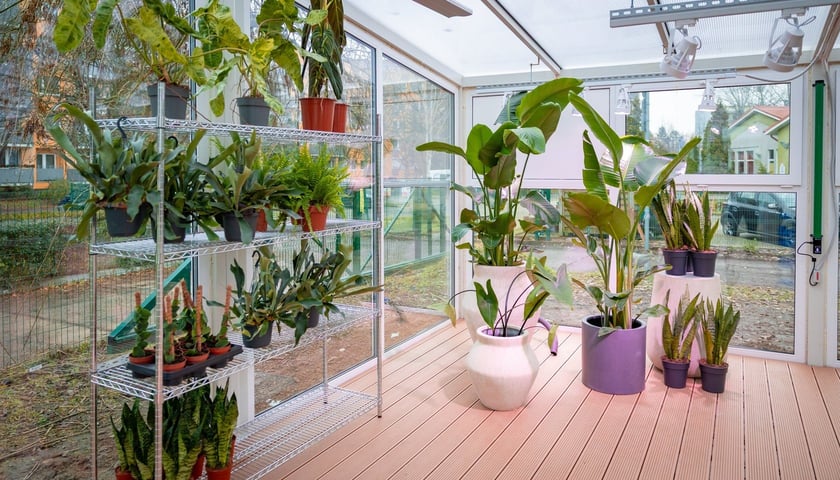 Powiększ obraz: Branżowe Centrum Umiejętności w dziedzinie florystyki w Zespole Szkół nr 3