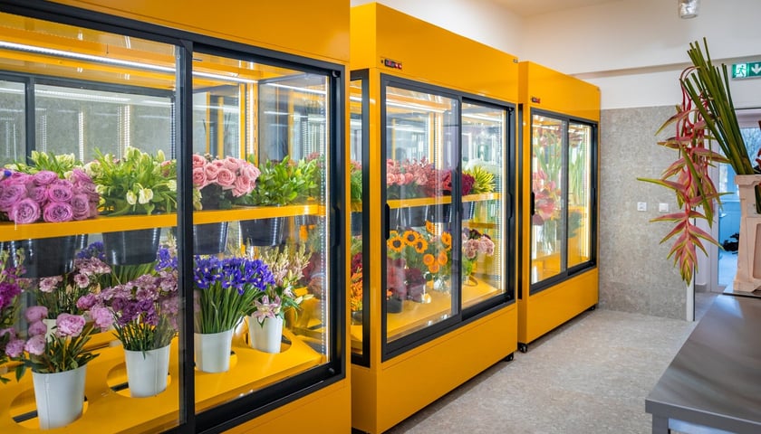 Powiększ obraz: Branżowe Centrum Umiejętności w dziedzinie florystyki w Zespole Szkół nr 3