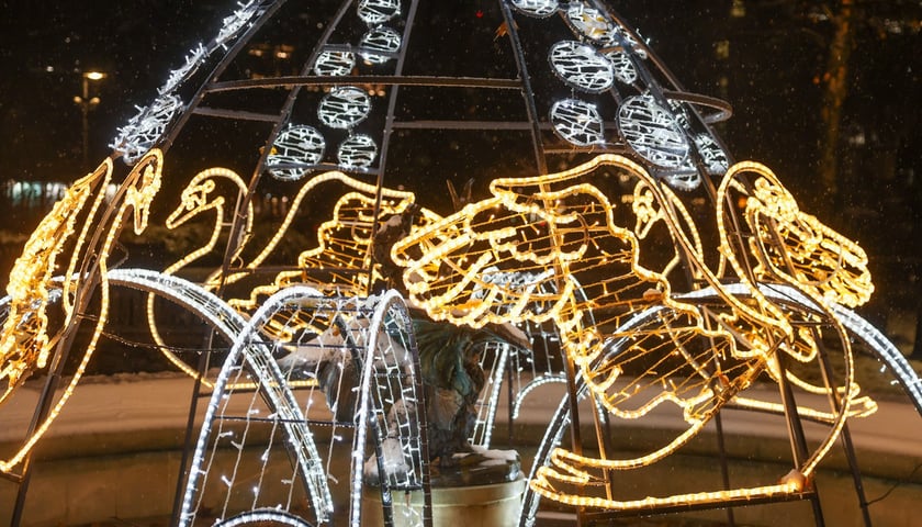 Fontanna w Parku Staromiejskim