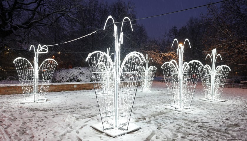 Rozświetlona fontanna w Parku Węgrzynowskiego