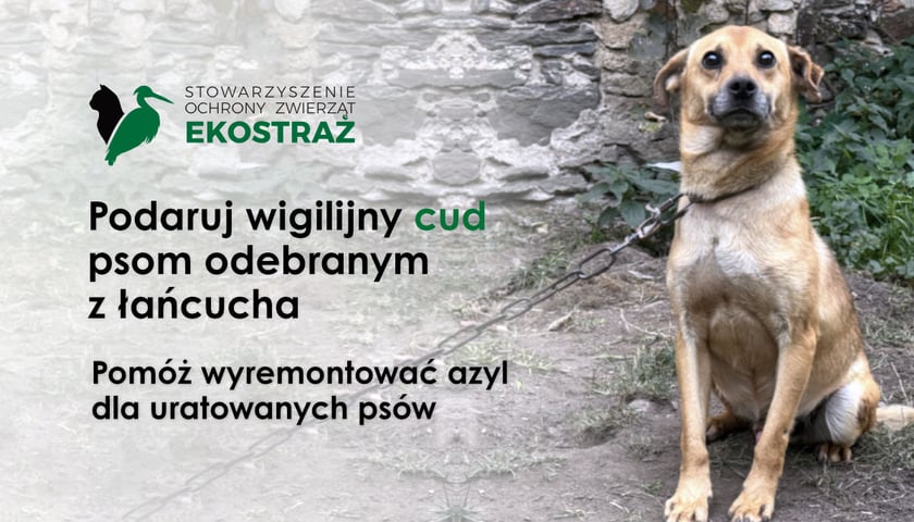 Powiększ obraz: Rysik oraz informacja o kampanii Ekostraży