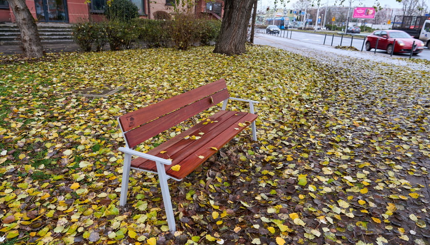 Powiększ obraz: „Ławeczka Mieszkańca”