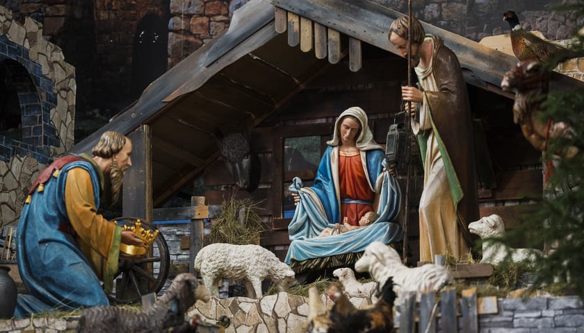 Powiększ obraz: Szopka w kościele św. Antoniego na Karłowicach
