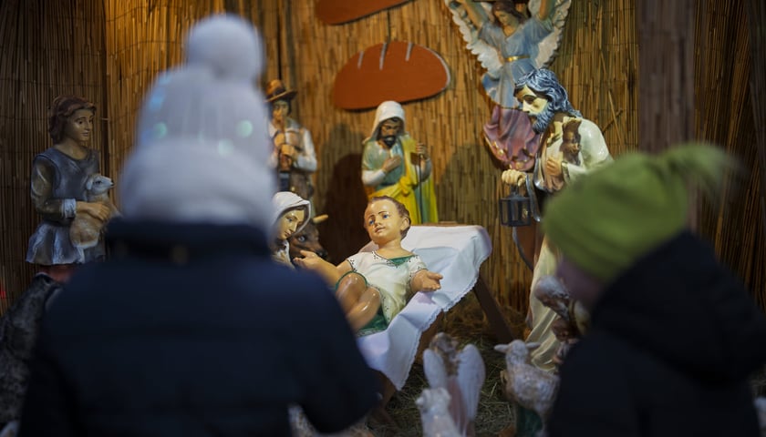 Powiększ obraz: Bożonarodzeniowa szopka w kościele pw. św. Michała Archanioła na Ołbinie