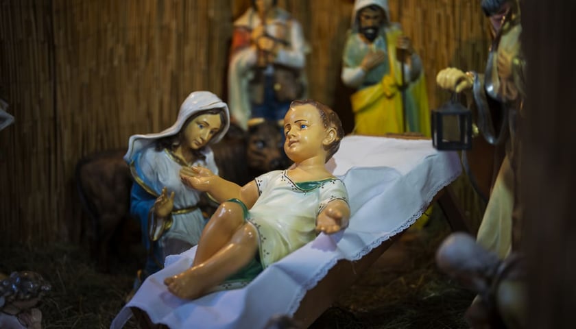 Powiększ obraz: Bożonarodzeniowa szopka w kościele pw. św. Michała Archanioła na Ołbinie