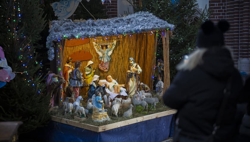 Powiększ obraz: Bożonarodzeniowa szopka w kościele pw. św. Michała Archanioła na Ołbinie