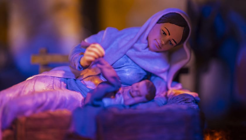 Powiększ obraz: Szopka w Katedrze Wrocławskiej na Ostrowie Tumskim