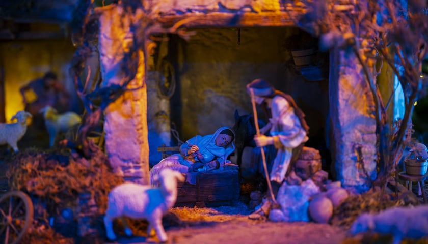 Powiększ obraz: Szopka w Katedrze Wrocławskiej na Ostrowie Tumskim