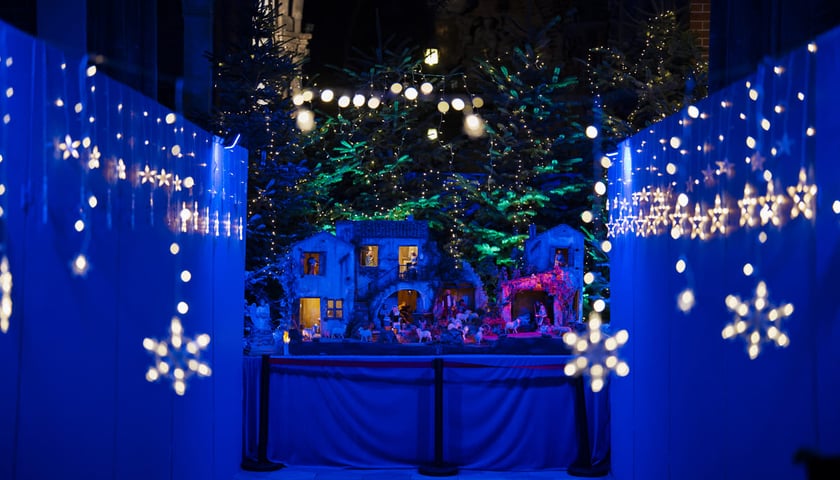 Powiększ obraz: Szopka w Katedrze Wrocławskiej na Ostrowie Tumskim