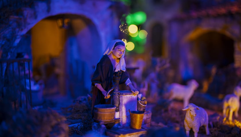 Powiększ obraz: Szopka w Katedrze Wrocławskiej na Ostrowie Tumskim